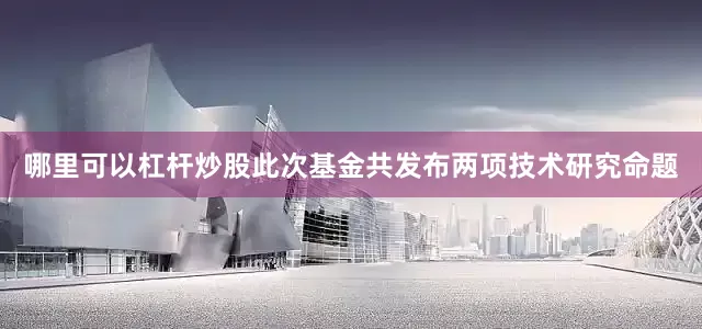 哪里可以杠杆炒股此次基金共发布两项技术研究命题