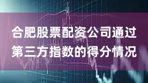 合肥股票配资公司通过第三方指数的得分情况