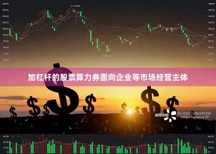 加杠杆的股票算力券面向企业等市场经营主体