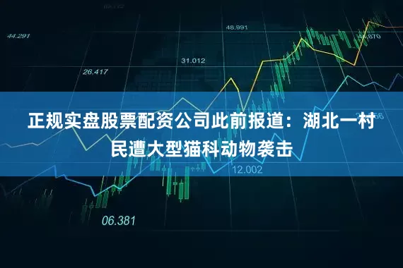 正规实盘股票配资公司　　此前报道：　　湖北一村民遭大型猫科动物袭击
