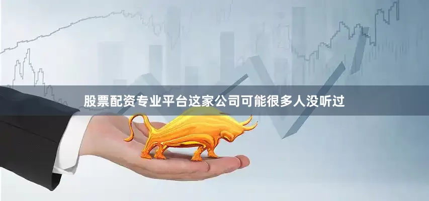 股票配资专业平台这家公司可能很多人没听过