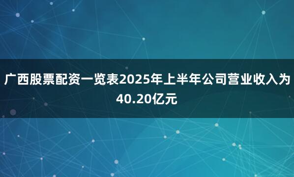 广西股票配资一览表2025年上半年公司营业收入为40.20亿元