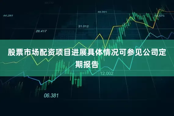 股票市场配资项目进展具体情况可参见公司定期报告